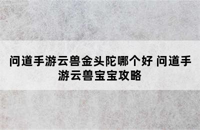 问道手游云兽金头陀哪个好 问道手游云兽宝宝攻略